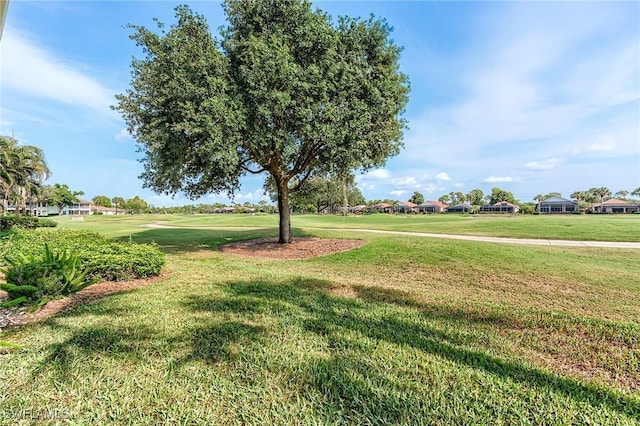 view of grassy yard featuring view of golf course