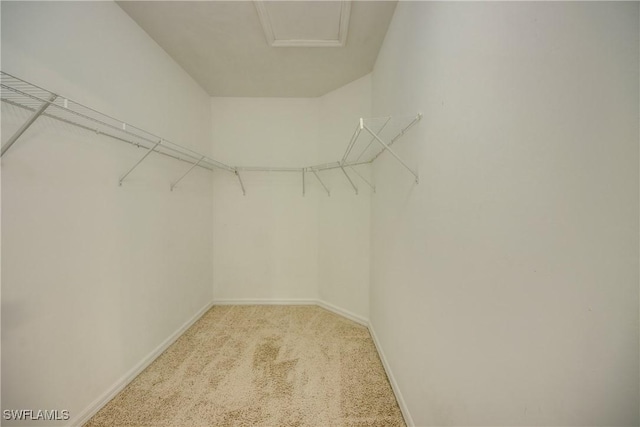 19530 Bowring Park Rd Unit 106, Fort Myers, FL 33967 - walk in closet with light colored carpet