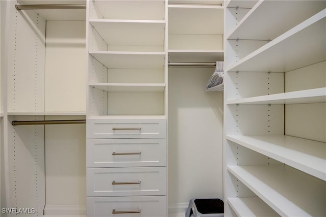 9373 Aviano Dr, Fort Myers, FL 33913 - view of spacious closet