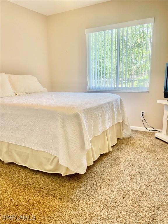 5985 Bloomfield Cir Unit D205, Naples, FL 34112 - bedroom featuring carpet floors and baseboards