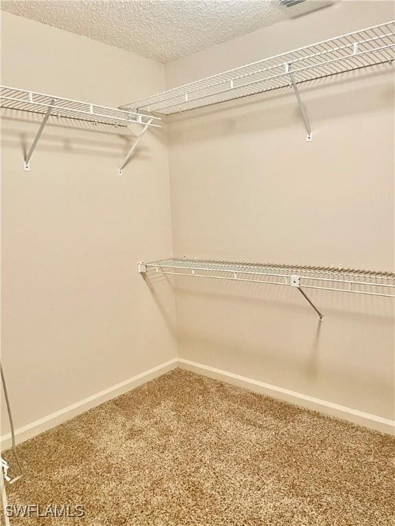 5985 Bloomfield Cir Unit D205, Naples, FL 34112 - spacious closet featuring carpet