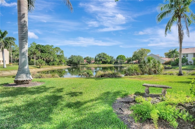 view of green lawn with a water view