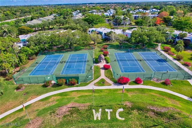 bird's eye view