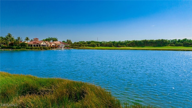 18492 Miromar Lakes Blvd W, Miromar Lakes, FL 33913 - water view