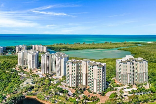 315 Dunes Blvd Unit 307, Naples, FL 34110 - view of urban area featuring a large body of water