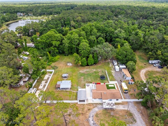 4411 Rose St, Valrico, FL 33596 - bird's eye view of a heavily wooded area and a large body of water