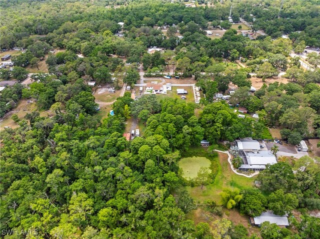 4411 Rose St, Valrico, FL 33596 - aerial view of property and surrounding area