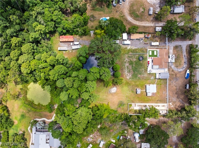 4411 Rose St, Valrico, FL 33596 - aerial view of property's location