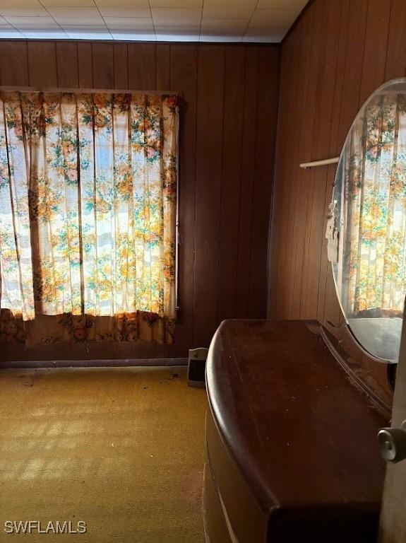 2994 Price Ave, Fort Myers, FL 33916 - living area with wooden walls, carpet flooring, and plenty of natural light