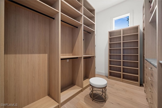 115 E Ave, Naples, FL 34108 - spacious closet featuring light wood-type flooring