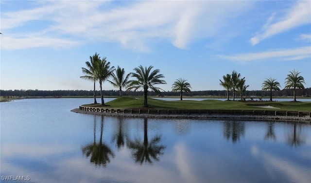 28135 Foxrock Ct, Bonita Springs, FL 34135 - water view