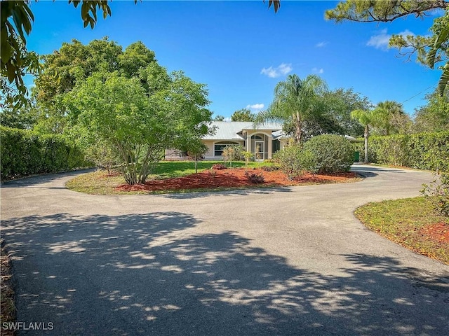 3790 35th Ave NE, Naples, FL 34120 - view of front of house with asphalt driveway