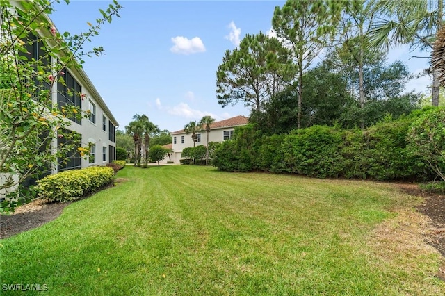 view of grassy yard
