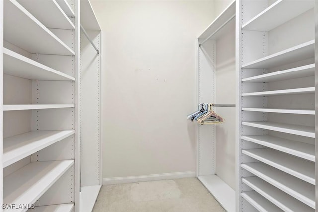 spacious closet featuring carpet
