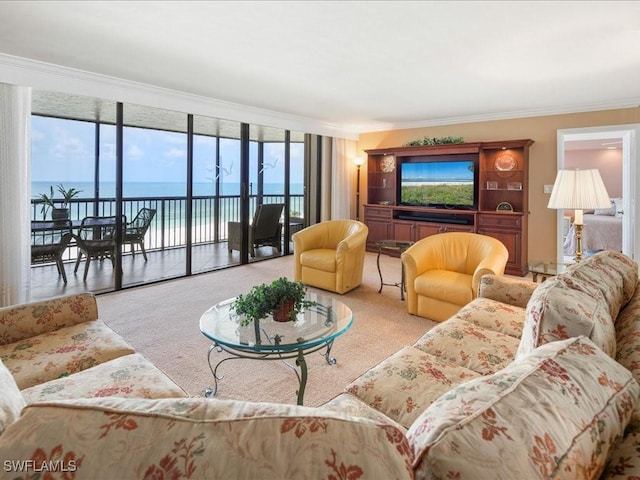 840 S Collier Blvd Unit 706, Marco Island, FL 34145 - living area with crown molding and carpet floors
