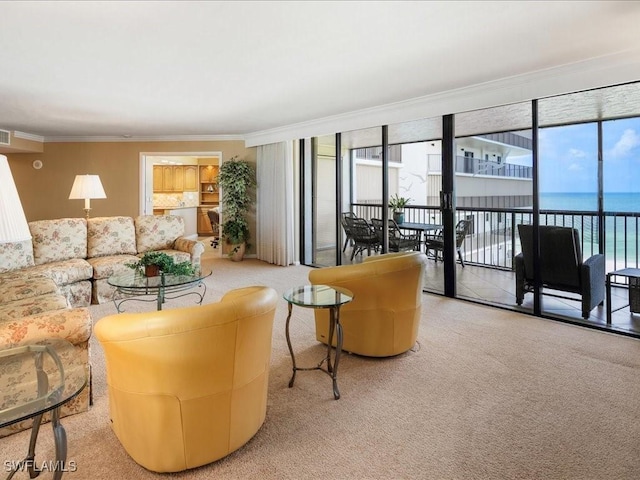 840 S Collier Blvd Unit 706, Marco Island, FL 34145 - carpeted living room with crown molding and a water view