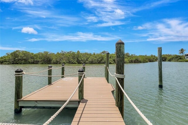 26906 Mclaughlin Blvd, Bonita Springs, FL 34134 - dock area with a water view
