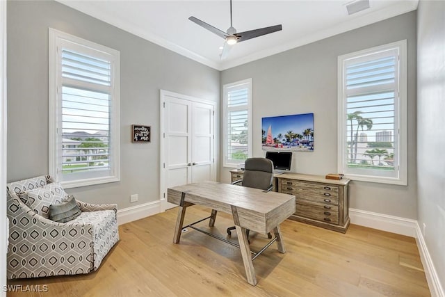 26906 Mclaughlin Blvd, Bonita Springs, FL 34134 - office featuring light wood finished floors, ceiling fan, healthy amount of natural light, and crown molding