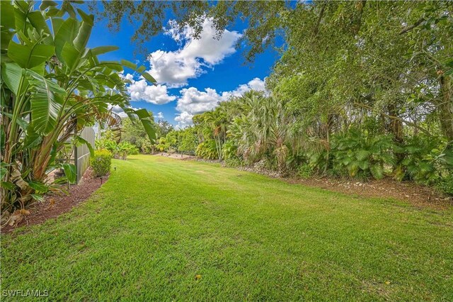 7810 Twin Eagle Ln, Fort Myers, FL 33912 - view of green lawn