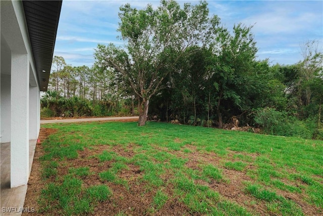 3201 18th St W, Lehigh Acres, FL 33971 - view of green lawn
