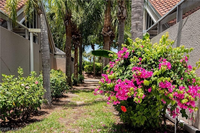 4548 Court Way, Naples, FL 34109 - view of yard