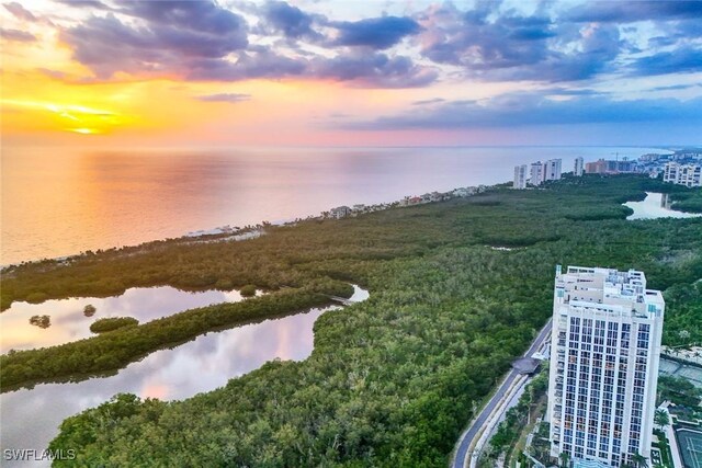 6897 Grenadier Blvd Unit 601, Naples, FL 34108 - water view with nearby urban area