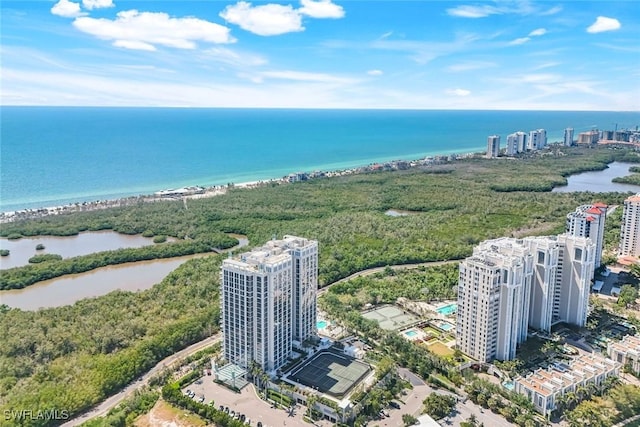 6897 Grenadier Blvd Unit 601, Naples, FL 34108 - view of urban area with a large body of water