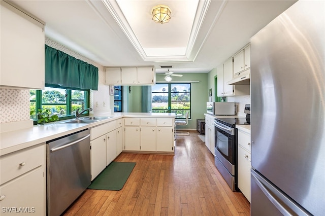 938 Charlemagne Blvd, Naples, FL 34112 - kitchen with appliances with stainless steel finishes, a tray ceiling, a sink, under cabinet range hood, and light countertops
