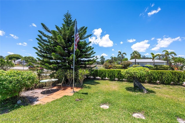 938 Charlemagne Blvd, Naples, FL 34112 - view of grassy yard with a patio