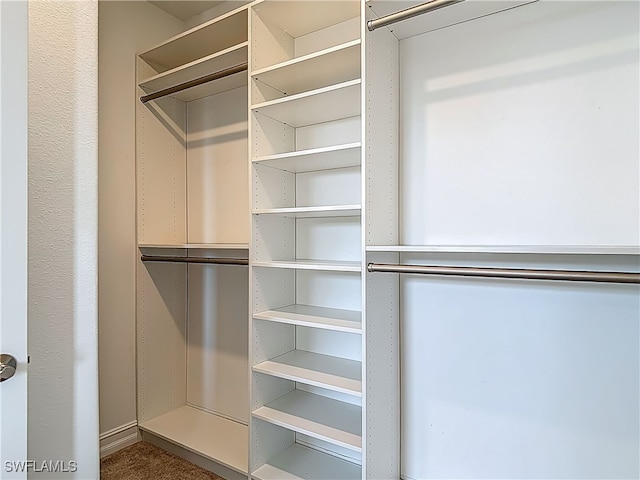 4564 Almada Ln, Wesley Chapel, FL 33543 - view of closet