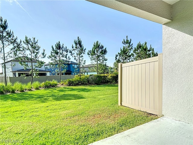 4564 Almada Ln, Wesley Chapel, FL 33543 - view of yard