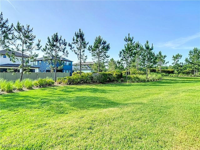 4564 Almada Ln, Wesley Chapel, FL 33543 - view of yard