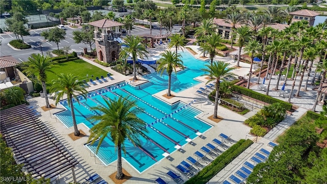 4564 Almada Ln, Wesley Chapel, FL 33543 - community pool with a water slide