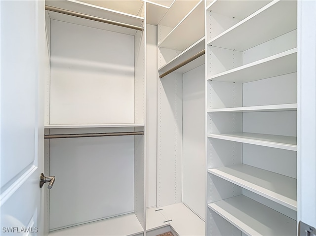 4564 Almada Ln, Wesley Chapel, FL 33543 - view of spacious closet