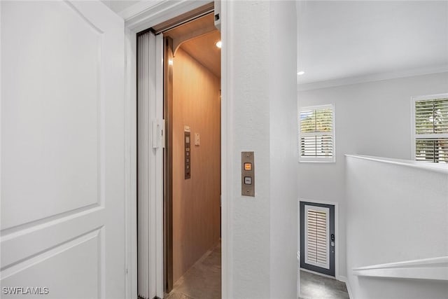 2432 Ravenna Blvd Unit 4, Naples, FL 34109 - hall with healthy amount of natural light and crown molding