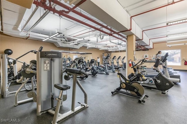 26740 Rosewood Pointe Ln Unit 102, Bonita Springs, FL 34135 - view of gym