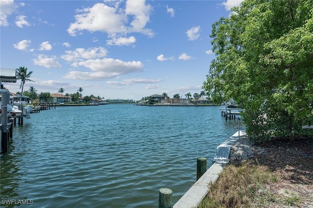 269 Bass Ct, Marco Island, FL 34145 - photo 2