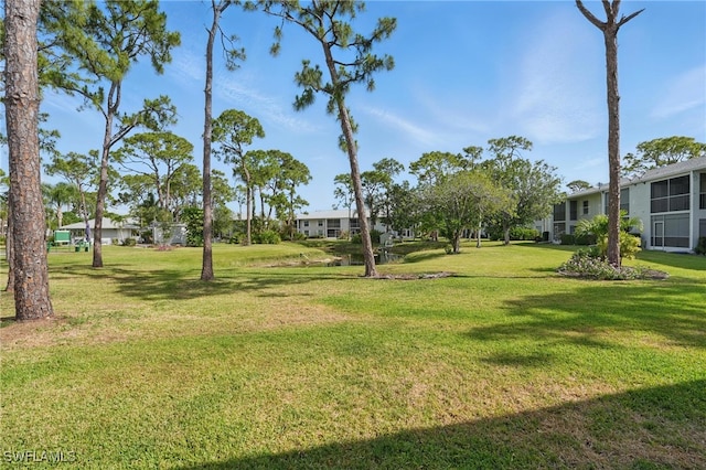 view of grassy yard