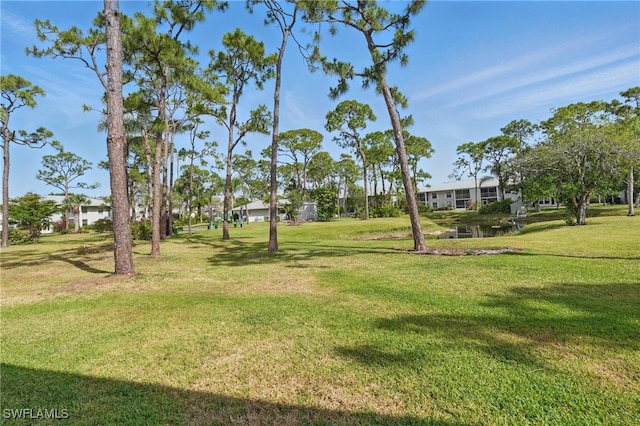 view of grassy yard