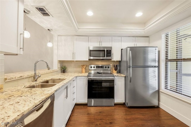 8336 Charter Club Cir Unit 10, Fort Myers, FL 33919 - kitchen featuring appliances with stainless steel finishes, a sink, a raised ceiling, dark wood-style floors, and crown molding