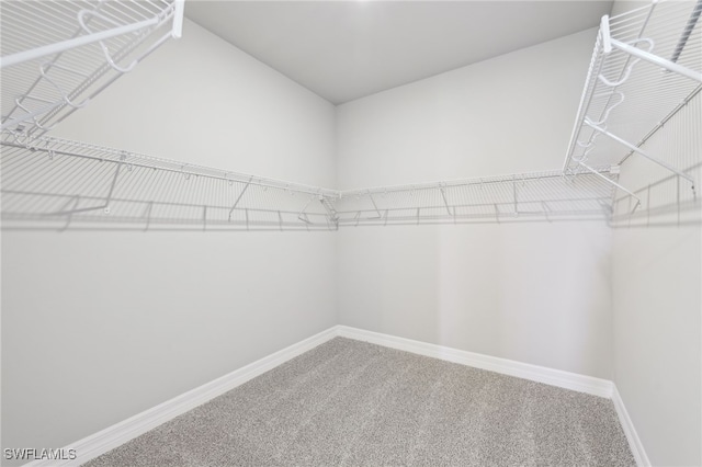 16678 Expedition Ct, Punta Gorda, FL 33982 - walk in closet featuring carpet floors