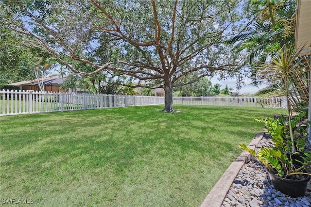 12839 Oakpointe Cir, Fort Myers, FL 33912 - view of yard
