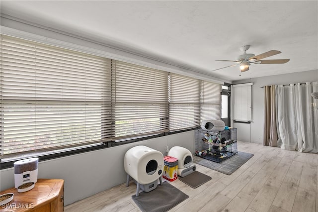 3275 Boca Ciega Dr Unit D49, Naples, FL 34112 - exercise area featuring wood finished floors and a ceiling fan