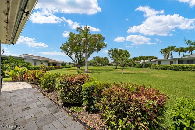 3275 Boca Ciega Dr Unit D49, Naples, FL 34112 - view of green lawn featuring a patio area