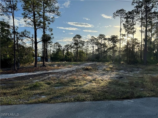12 Irving Ave, Lehigh Acres, FL 33936