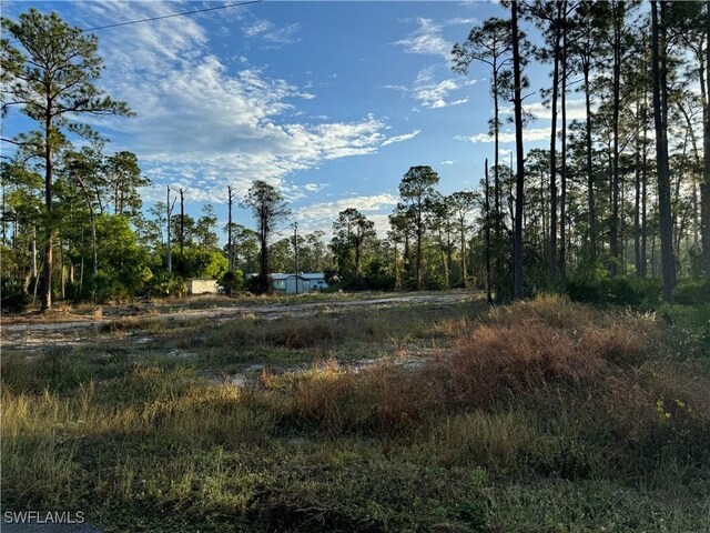 12 Irving Ave, Lehigh Acres, FL 33936
