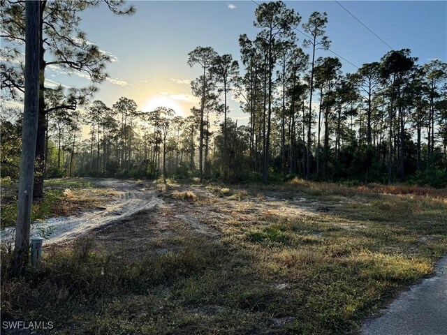 12 Irving Ave, Lehigh Acres, FL 33936