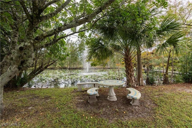 1291 S Swinging Trl, Labelle, FL 33935 - view of yard with a water view