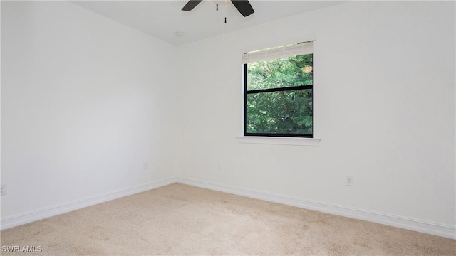 7874 Bucks Run Dr, Naples, FL 34120 - empty room with carpet, ceiling fan, and baseboards