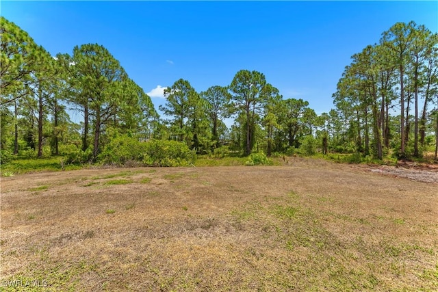 869/871 Eisenhower Blvd, Lehigh Acres, FL 33974 - view of local wilderness